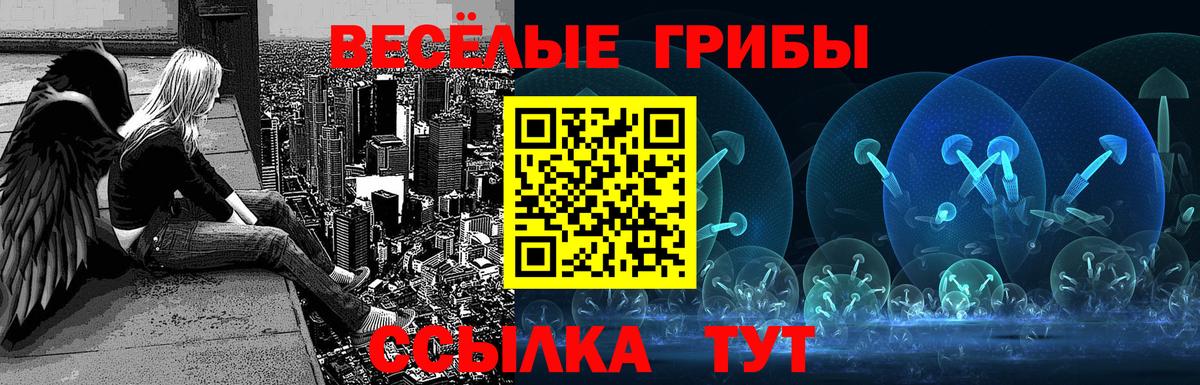 Псилоцибиновые грибы мухоморы  Галлюциногенные грибы MAGIC MUSHROOMS  Балтийск  цена   Вход с VPN 
